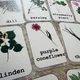 Herbs, flowers - demonstration cards 5