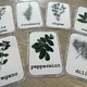 Herbs, flowers - demonstration cards 6