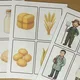 Hospodářská zvířata / Farma  6