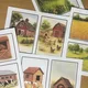 Hospodářská zvířata / Farma  7