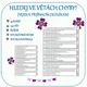 HLEDEJ VE VĚTÁCH CHYBY 2