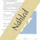 Australia and New Zealand (English speaking countries) 6
