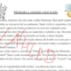 Včela - aktivity s příběhem  2
