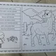 PŘEČTI A VYBARVI - ZVÍŘATA 2