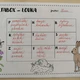 Edukační kvíz a pracovní listy - louka  6