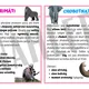 Savci - informační karty, opakovací kartičky a pracovní list 2