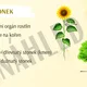 STONEK - prezentace a pracovní list 2