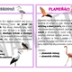 Ptáci - informační karty, opakovací kartičky, zápisový list 2