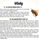 🐝Včely - Čtení s porozuměním, debata a tvoření🍯 2
