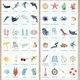SEA | English flashcards | anglické obrázkové karty 4