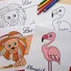 Zvířátka v ZOO 5