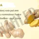 STONEK - prezentace a pracovní list 3
