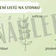 LIST - prezentace a pracovní list 3