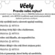🐝Včely - Čtení s porozuměním, debata a tvoření🍯 4