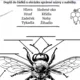 🐝Včely - Čtení s porozuměním, debata a tvoření🍯 5
