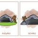 Where is the bear? 4