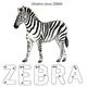 2. díl 📖 Róza v kouzelné zoo 🦘🦓🦒  6