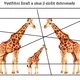 2. díl 📖 Róza v kouzelné zoo 🦘🦓🦒  7