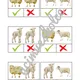 DOMÁCÍ A HOSPODÁŘSKÁ ZVÍŘATA - stejné x rozdílné? 2