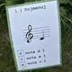 Noty - kvíz 6