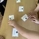 Léto - rostliny a ovoce 3