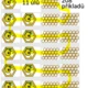 POLETOVAČKA-VČELKY- (+ A - DO 20 BEZ PŘECHODU PŘES ZÁKLAD 10) 4