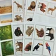 Zvířata v zoo/Exotická zvířata 5
