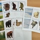 Zvířata v zoo/Exotická zvířata 6