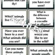 Rapid Fire Questions - Animals (B1) 2