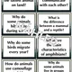 Rapid Fire Questions - Animals (B2) 2