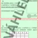 MATEMATIKA OPAKOVÁNÍ 1. A 2. ROČNÍK - GRADOVANÉ ÚLOHY SE ZVÍŘATY 2