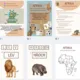 Afrika - projekt, zvířata, multikulturní výchova 5