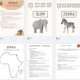 Afrika - projekt, zvířata, multikulturní výchova 7