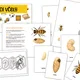Včelař Václav a jeho včelí království 🐝 5