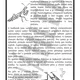 Láska pod lupou: bezobratlí 3