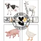 The Farm 8