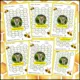 Omalovánky - český jazyk (pravopis, slovní druhy, vyjmenovaná slova) 2