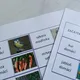 Domino – ekosystém OKOLÍ LIDSKÝCH OBYDLÍ 2