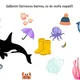 Život pod hladinou 🐠 10