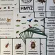  HMYZ - demonstrační karty  4