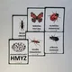  HMYZ - demonstrační karty  2