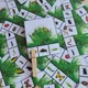  HMYZ - Co se skrývá v trávě? - zrakové vnímání  3