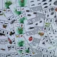  HMYZ - kolíčkové aktivity - 6 druhů, 54 karet  5