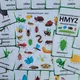  HMYZ - kreslený - demonstrační karty  4
