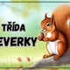 Informační tabulky k vyzdobení třídy- Veverky 2