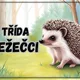 Informační tabulky k vyzdobení třídy- Ježečci 2