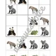 ZOO - sudoku 2