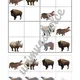 ZOO - sudoku 3