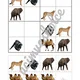 ZOO - sudoku 4