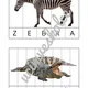 ZOO - skládačky 3